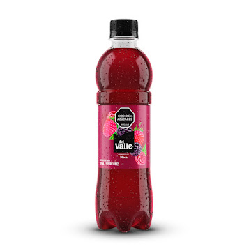 Jugo Del Valle Frutal Mora x 500 ml  