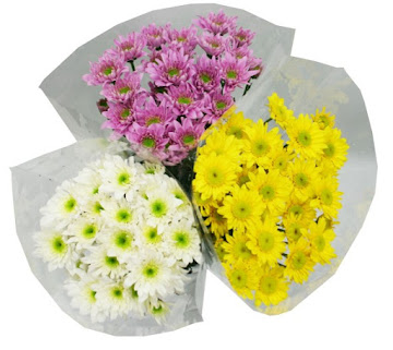 //Ramo de Flores Pompones Sunshine X10Und  