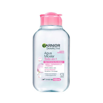 Agua Micelar Garnier Todo En 1 x 100 ml  