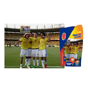 Solo Online Rompecabezas Selección   Colombia  Ziplock Diseno 1 48 Piezas 
