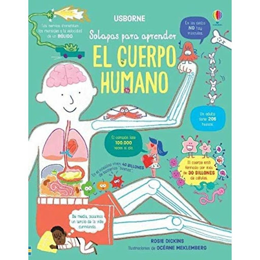 El Cuerpo Humano (t.d) Usborne Usborne Libro x 1.0 EL CUERPO HUMANO (SOLAPAS PARA APRENDER)  Este libro de solapas, creado con la colaboración de especialistas en la materia, enseña a losniños todo lo que pasa en el interior del cuerpo humano, desde l