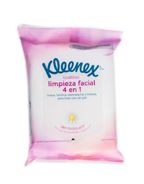 TOALLAS HÚMEDAS  undefined